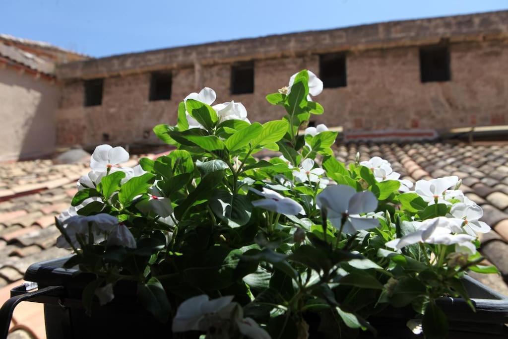 Sant'Anna Home Palermo Exterior photo